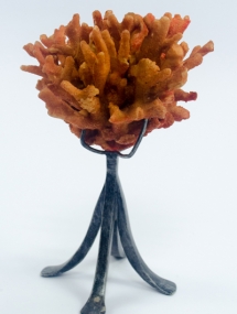 AS-578_Orange Coral on Metal Stand