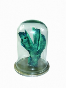 BG-714 Blue Coral on Dome glass