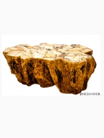 PW-067_Rock petrified wood cocktail table