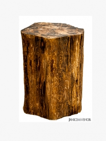 PW-110_Tree Trunk Smoking Table with petrified wood inlay