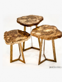 PW-127_Petrified Wood Waterfall Table