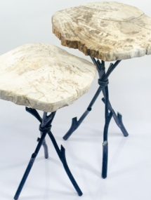 PW-191_Twiggy Petrified Wood Side Table