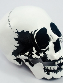 SK-105 Amsterdam Skull