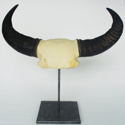 AS-708B_Buffalo Horn on Metal Stand