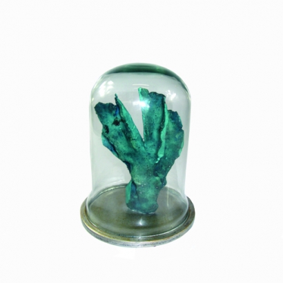 BG-714 Blue Coral on Dome glass