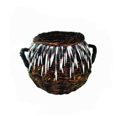 PQCB-02 _ Porcupine Ball Planter