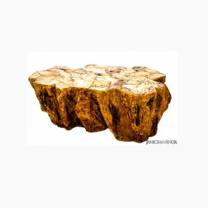 PW-067_Rock petrified wood cocktail table