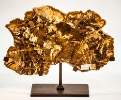 PW-090 - Petrified wood on metal stand