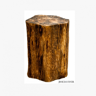 PW-110_Tree Trunk Smoking Table with petrified wood inlay