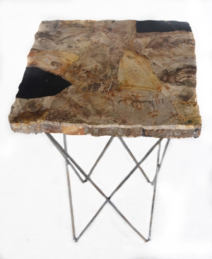 PW-158_Apex Square Petrified Wood