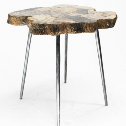 PW-200_End table with organic petrified wood top