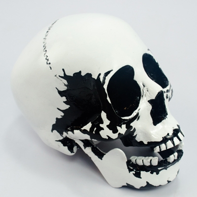 SK-105 Amsterdam Skull